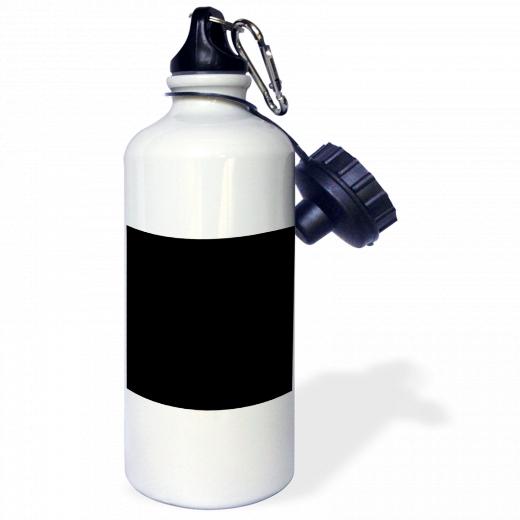 21oz Stainless Steel Water Bottle with 2 caps and 1 clip