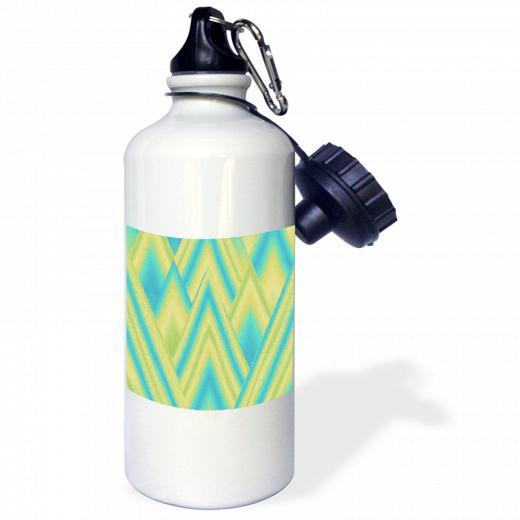 21oz Stainless Steel Water Bottle with 2 caps and 1 clip