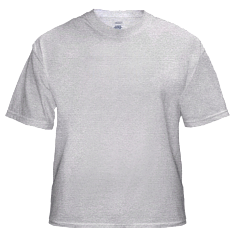 Birch-Gray T-Shirt
